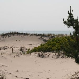 Meet your Posher, Renee